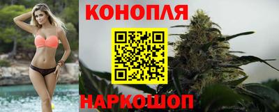 стафф Бузулук