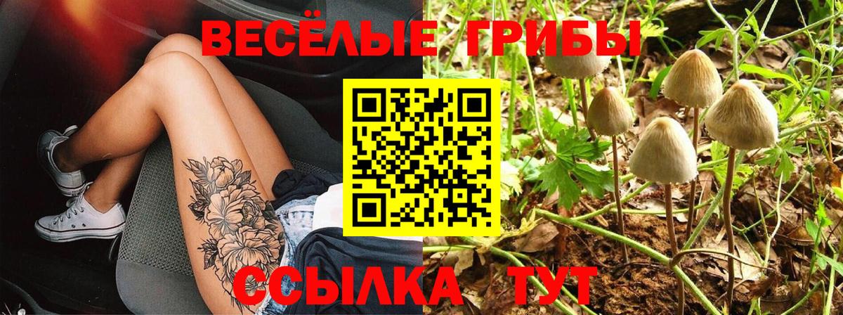 Топки  Галлюциногенные грибы GOLDEN TEACHER  Вход с VPN 